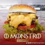 Combo hambúrguer artesanal