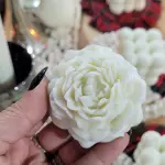 Peonia Chica