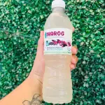 AGUA DE LIMON CON CHIA 500ML