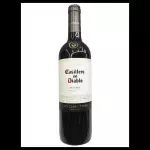 CASILLERO DEL DIABLO (CHILENO)