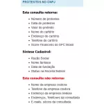 PROTESTOS NO CNPJ