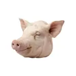 Cabeza de cerdo 8-12 lb