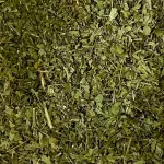 ORÉGANO