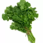 Cilantro