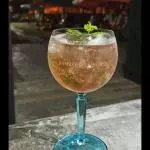 Gin Tônica Cassis com Hortelã