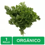 Organic Italian Parsley