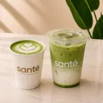 Vainilla Sugar Free Matcha