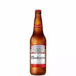 Budweiser 600ml