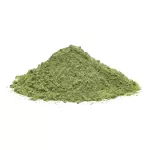 Moringa em pó