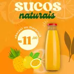 Suco Natural 500ml