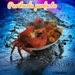 Parihuela Chita y Tramboyo