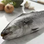 Corvina