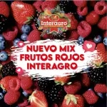 MIX DE FRUTOS ROJOS