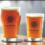 Ribeirão da Prata | West C Brown ALE
