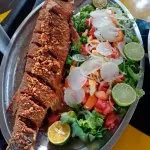 Tainha