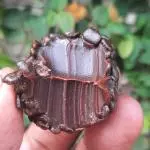 Brigadeiro tradicional