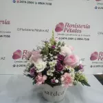 Producto 15:   Con otra base similar