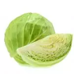 Repollo