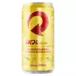 Cerveja Skol 269ml