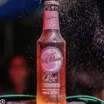 Pink Moon Rose