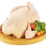 GALLINA