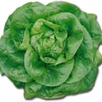 Lechuga milanesa