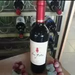 LOS GATOS CARMÉNÈRE - CHILE 2018