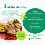 Platillo del dia