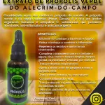 Extrato de própolis verde (30mL)