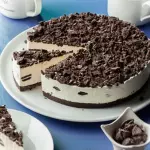 Cheesecake oreo 14pp