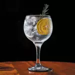 GIN TÔNICA