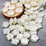 Separador de conchas color hueso