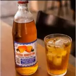 Cajuina nordestina 480ml