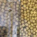 NUTRIVE GATO FILHOTE 1KG