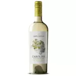 St Carolina Reserva Sauvingnon Blanc
