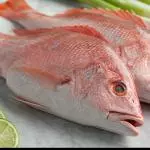 Pargo-shashimi