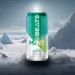 Skol Beats Mojito 269ml
