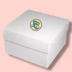 Box 50 unidades (3 tipos pasapalos)