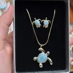 Set de Tortugas en Larimar