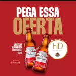 Budweiser 300ml cx23/und