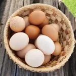 Ovos Caipira - Dúzia