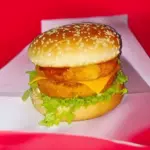 DUPLO CHICKEN BACON