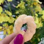 Rosquinha Nata(Pura)