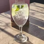 GIN TONIC