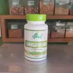 Ginkgo Biloba