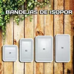 BANDEJA ISOPOR