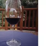 Taça de vinho (consultar marca)