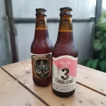 Cervezas artesanales