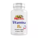 Vitamina B6 - Rei Terra 60c