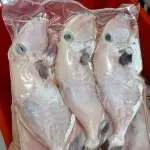 PEROA INTEIRO COM CABEÇA